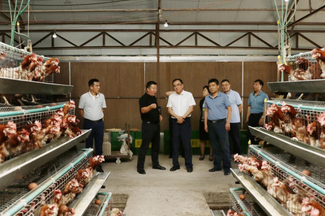 尊龙凯时人生就是搏(中国区)官方网站